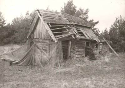 Kuunsi võrgukuur  similar photo