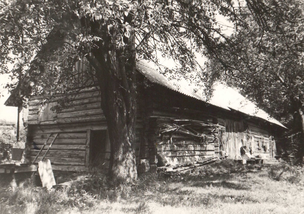 Hollingers forstu
