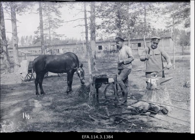 Vabadussõda. 6.Jalaväepolgu voori sepp Rodenpoisis (Ropaži) polguülema ratsahobusele kabjaraudu valmistamas.  duplicate photo