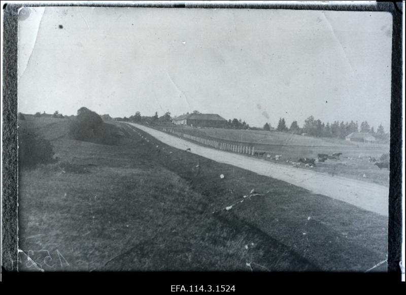 Vabadussõda. Riia-Pihkva kivitee [Kastelhofi (Kastena) postijaama juures].