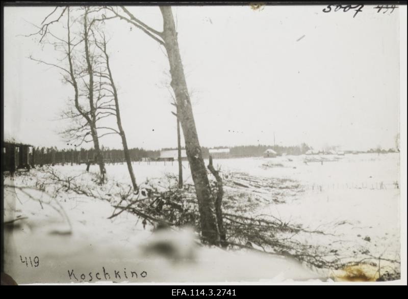 Vabadussõda. Punaväe käes olev Koškino küla pildistatuna 9.Jalaväepolgu 10.roodu positsioonidelt.