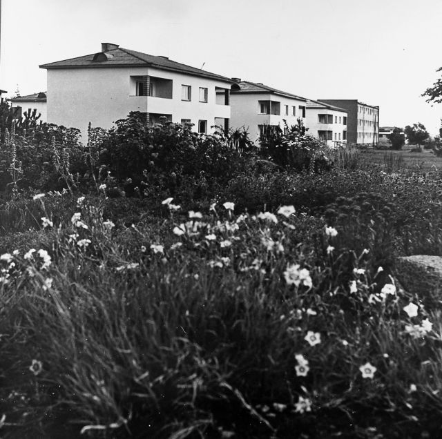 Elamurajoon Saku alevikus