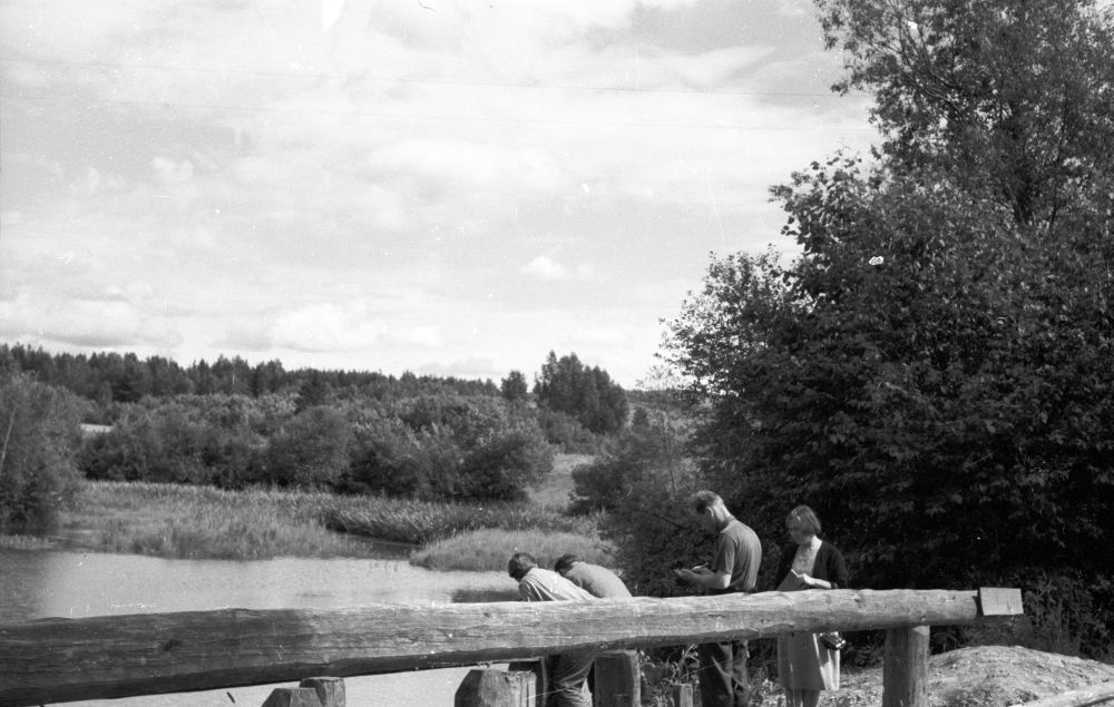 Valtina vesiveski Antsla vallas, veskitamm.