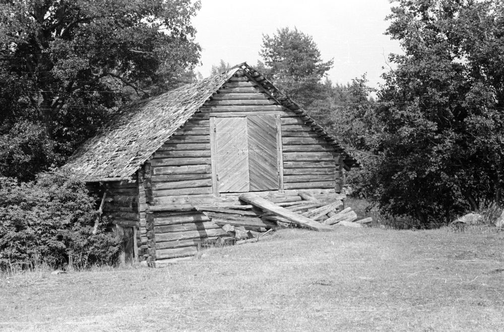 Uuri küla Sepa talu vesiveski