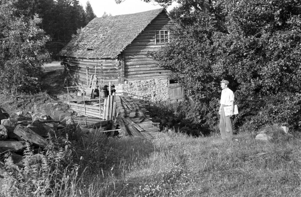 Uuri küla Sepa talu vesiveski