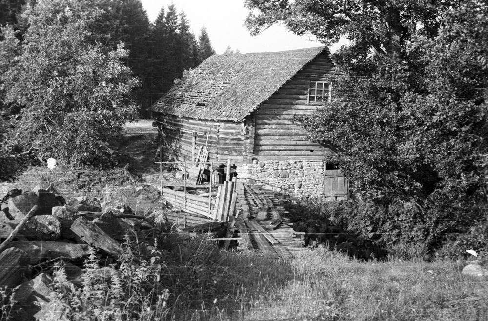 Uuri küla Sepa talu vesiveski