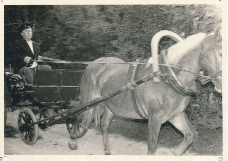 Foto. Sidetöötajate a/ü vabariiklik seminarlaager Haapsalu raj. Kirimäel. Osavõtjaid tervitab Läänemaa postipoiss, foto V. Pärtel, 1973