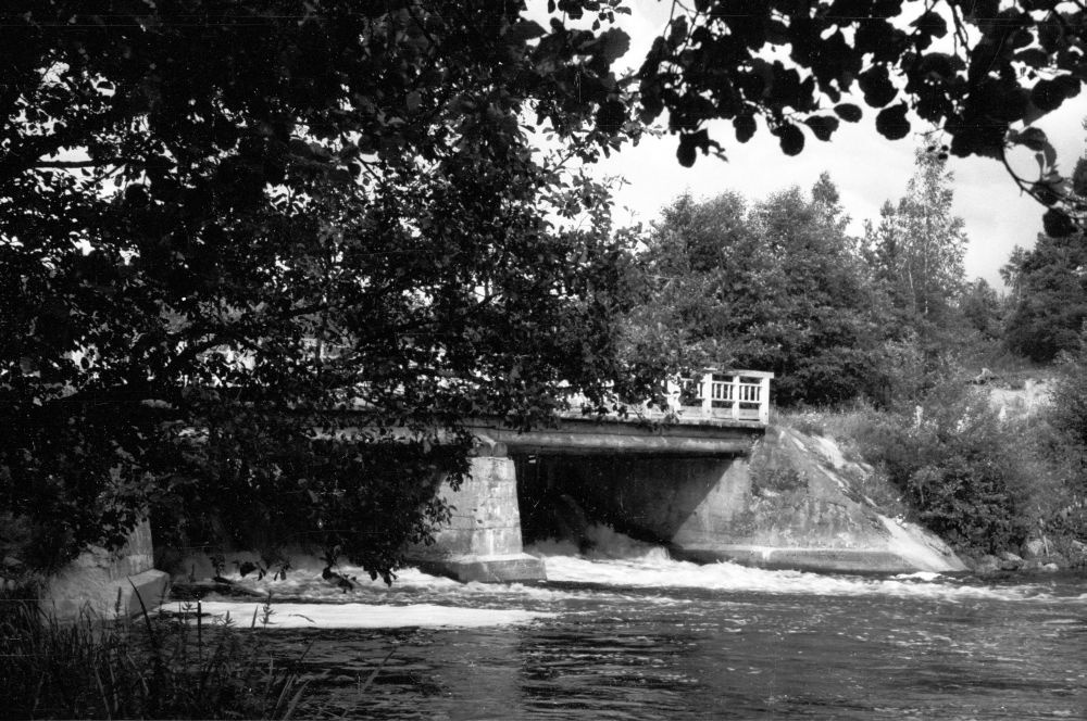 Utita vesiveski veskitamm Linnamäe vallas.