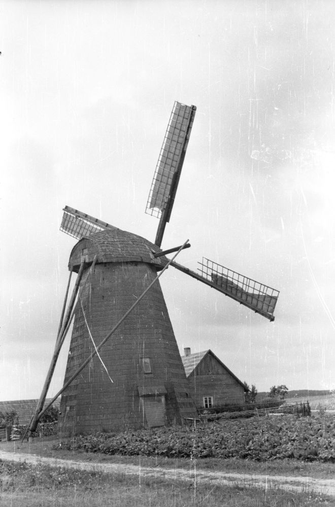 Kurista küla Pedaja talu hollandi tuulik