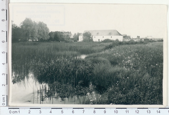 Painküla veskitammi alune kõrkjastik Pedja jõel, 1921