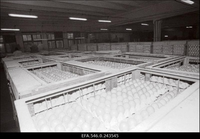 Linnuvabrik Tallegg.  duplicate photo