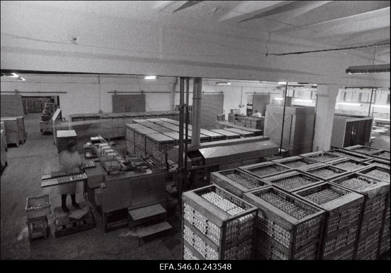 Linnuvabrik Tallegg.