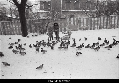 Pargis.  similar photo