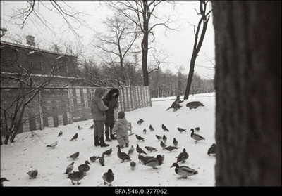 Pargis.  similar photo