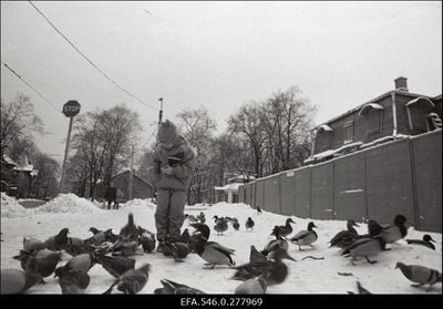 Pargis.  similar photo