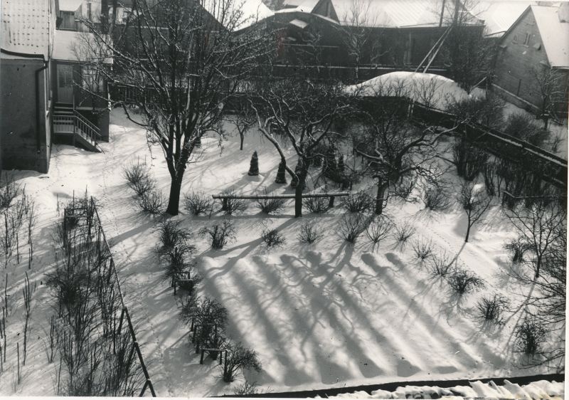 Foto. Ühisgümnaasiumi aed.