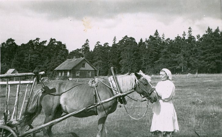 Foto. Vormsi haigla töötaja hobusega.