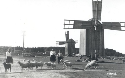 Foto. Vormsi rannarootslased lammastega (1934?). Fotogr. J. Grünthal.  duplicate photo