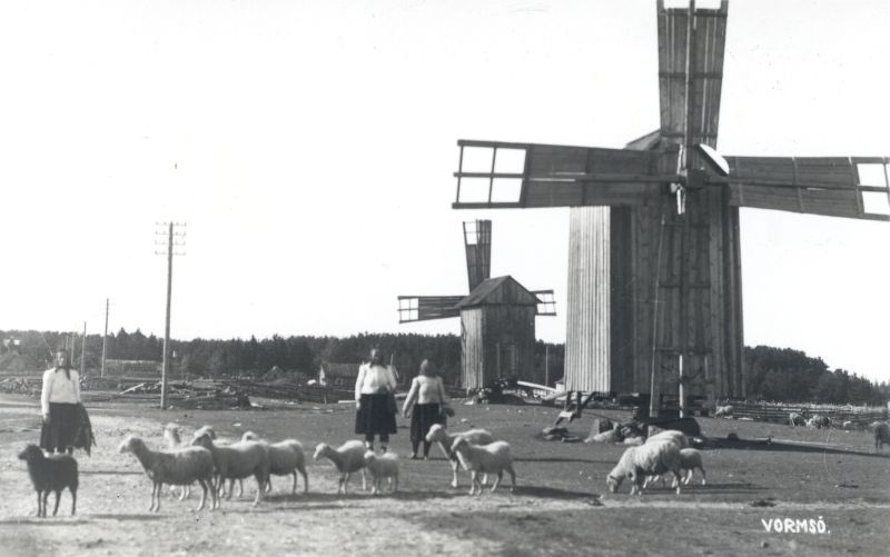 Foto. Vormsi rannarootslased lammastega (1934?). Fotogr. J. Grünthal.