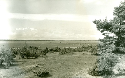 Foto. Vormsi saar. Rand. 1934. ERKA-foto.  duplicate photo