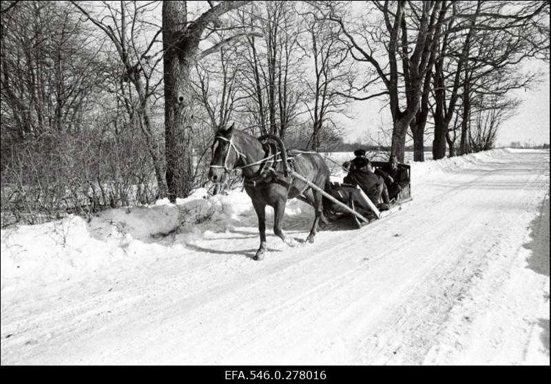 Talvised kalastajad.
