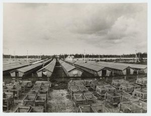 Salutaguse Karusloomakasvatuse karusloomafarmi üldvaade