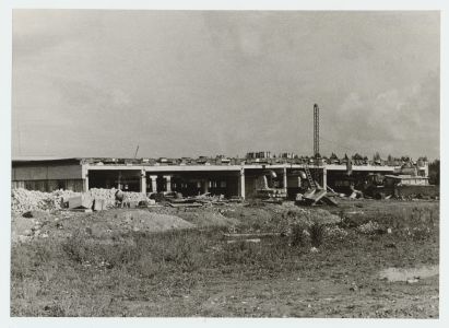 Pooleliolev nuumikute sigala