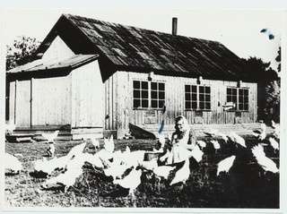 Adele Niinsalu, kanatalitaja 1956.a.