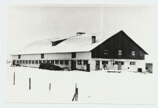 Karjalaut Pae külas, uus ehitus