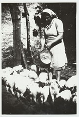 Linda Mahlapuu, noorsigade talitaja