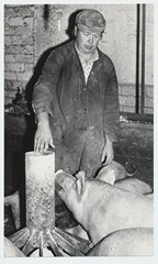 Andres Õuemets, Kohila sovhoosi seatalitaja