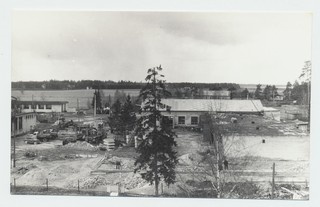 Kuusiku  metsamajandi õu