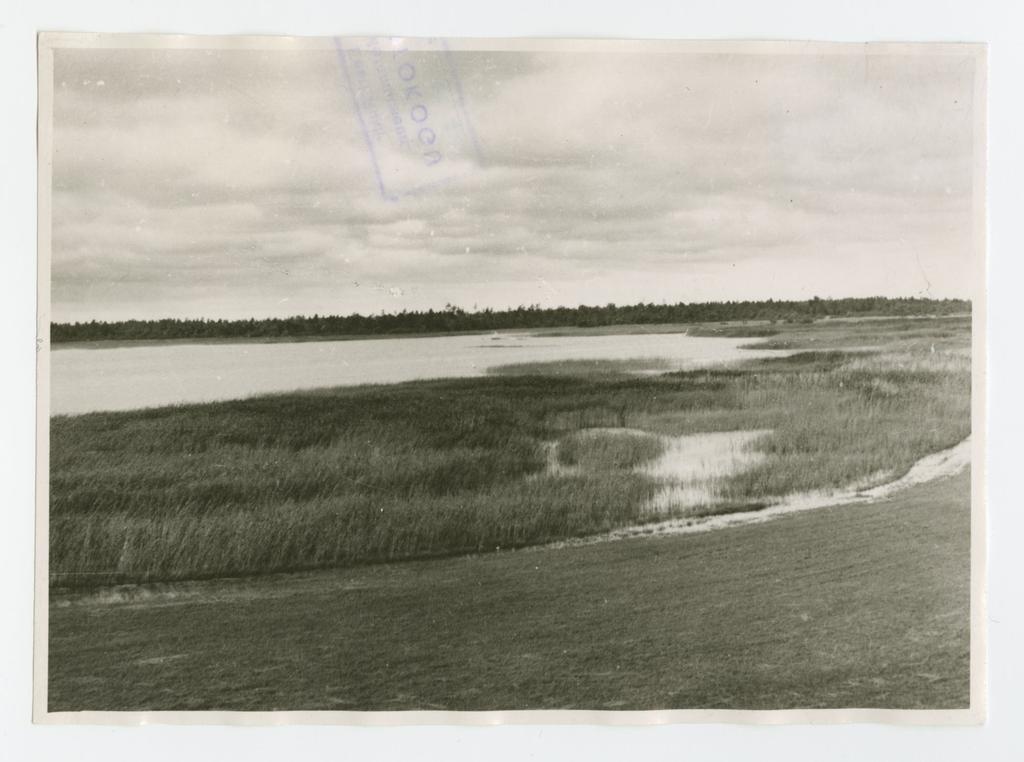 Mullutu laht Saaremaal Ajapaik