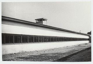 Kaiu kolhoosi seafarm