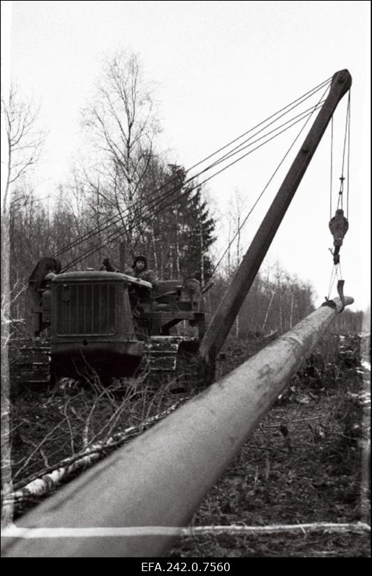 Kohtla-Järve - Tallinn gaasijuhtme ehitustööd.