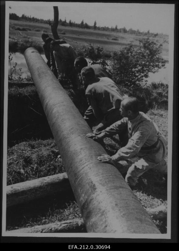 Kohtla-Järve - Leningradi gaasijuhtme paigaldamine Luuga jõe paremal kaldal.