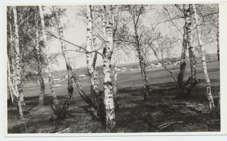 Siberi ekspeditsioon Tertsiuse hauale