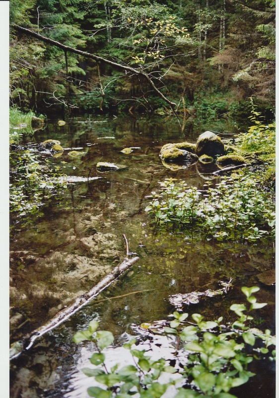 Kolm kihelkonda ja kohapärimus. Hageri, Juuru ja Rapla