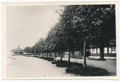 Foto. Vaade vanast Haapsalust . Osa Suurest PRomenaadist. Foto: ca 1900. HM 1369.  similar photo