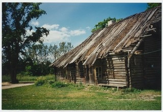 Kangerma talu rehielamu