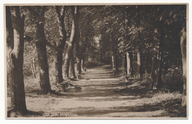 Postkaart. Puiestee Haapsalu linnuse vallidel. Asub albumis HM 7955.