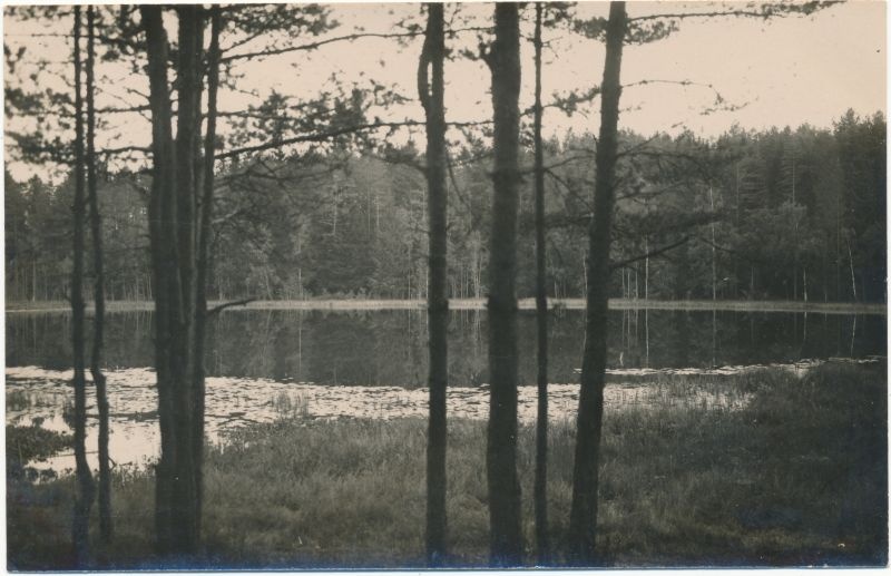 Postkaart. Elva, Vaiknejärv. Asub albumis HM 7955.