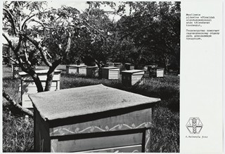 Kohila sovhoosi mesila