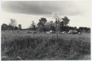 Titemägi