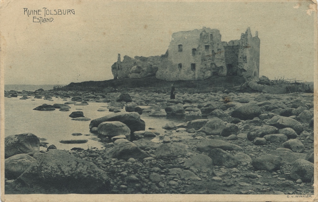 Ruine Tolsburg : Estonia