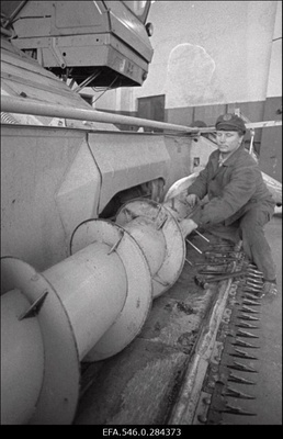 Viru kolhoos  similar photo