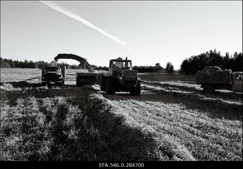 Heinategu põllumajandis