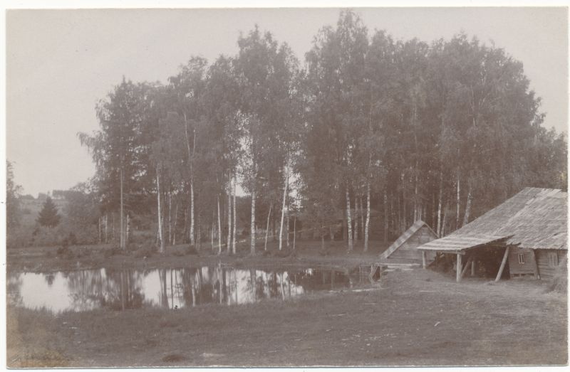Postkaart. Vesiveski Vastseliina lähedal. Asub albumis HM 7955.