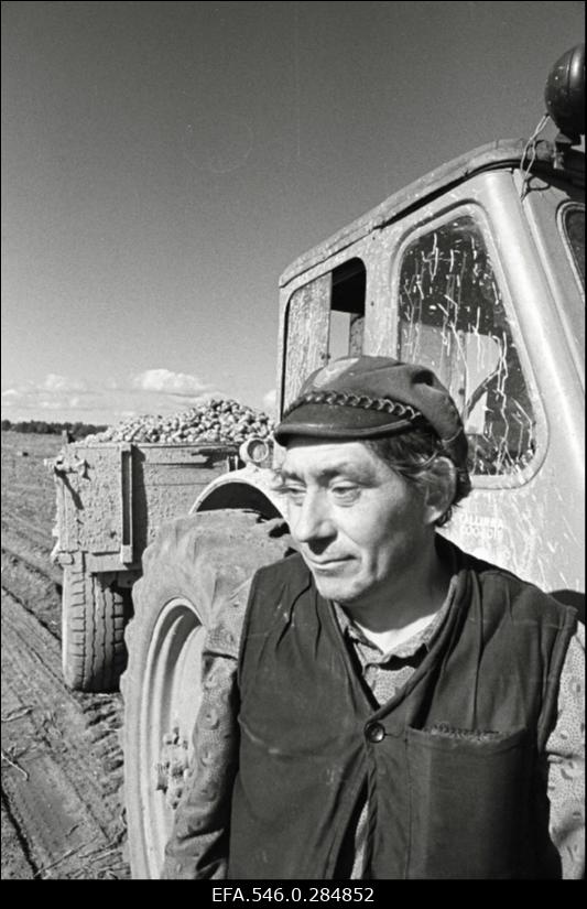 Kevadtööd Ääsmäe sovhoosis