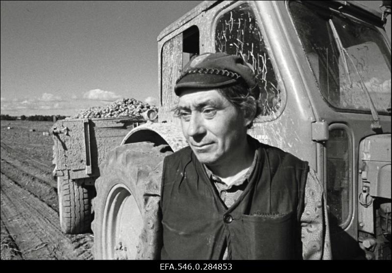 Kevadtööd Ääsmäe sovhoosis